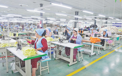 提升棉花種植技術 推動紡織工業發展